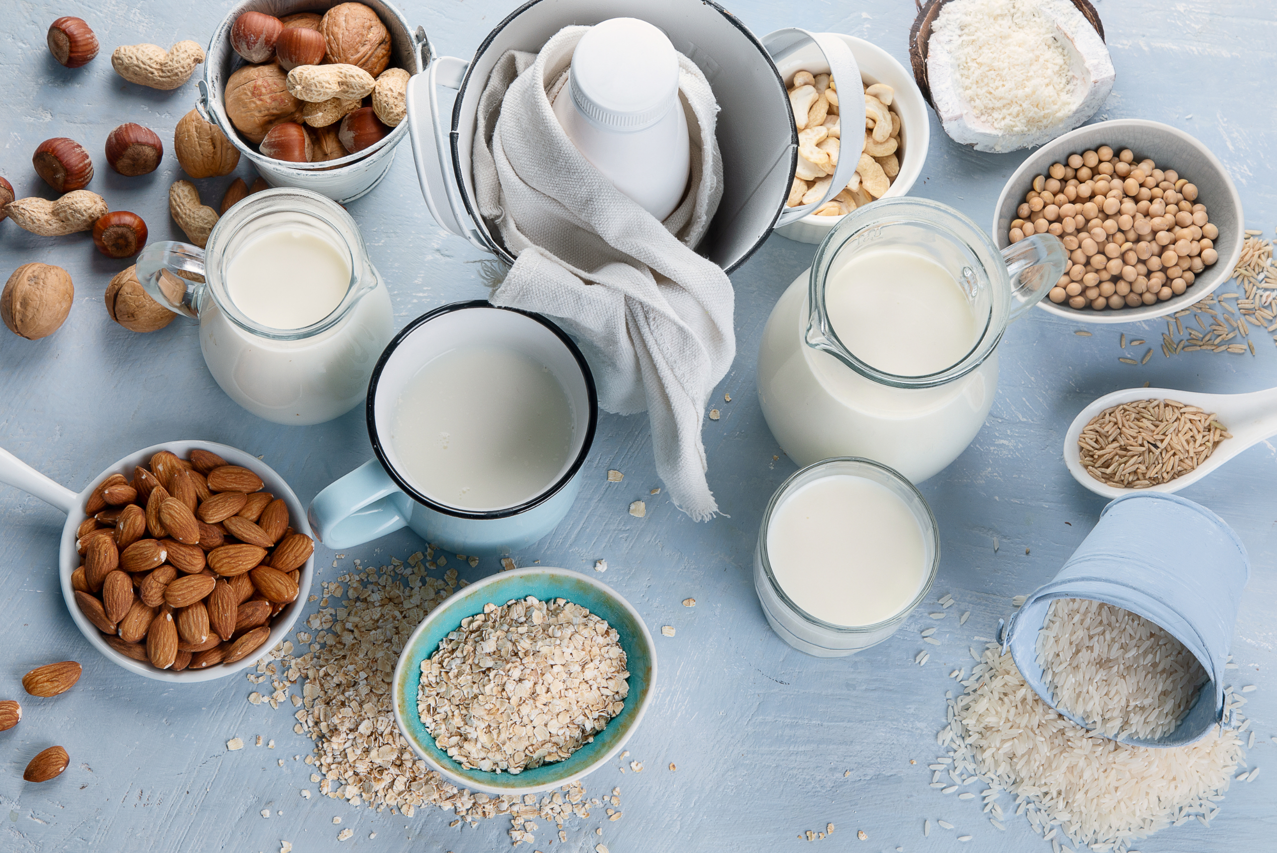 Is Making Plant-Based Milk Worth It? SPOILER: I Struggled!