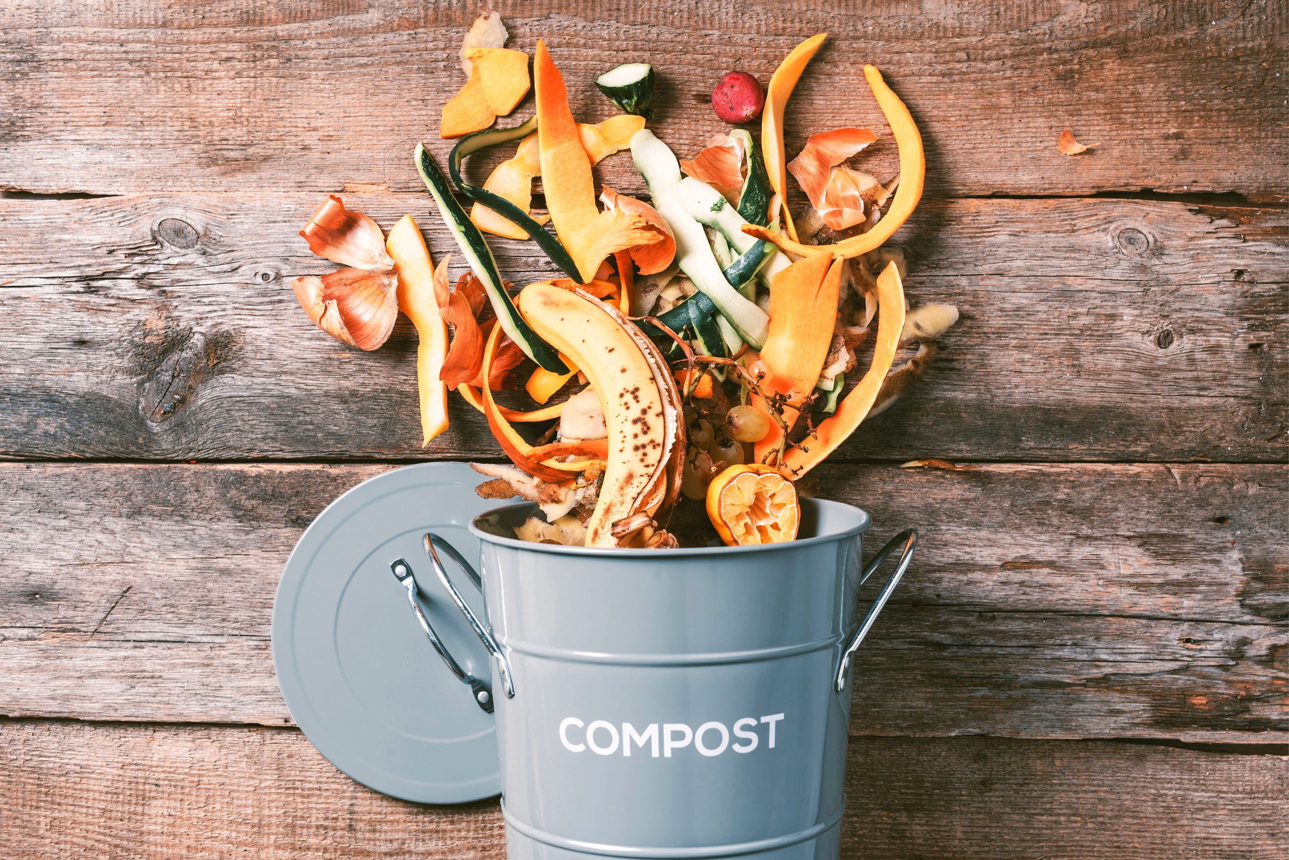 Composting: Transforming Trash Into Treasure